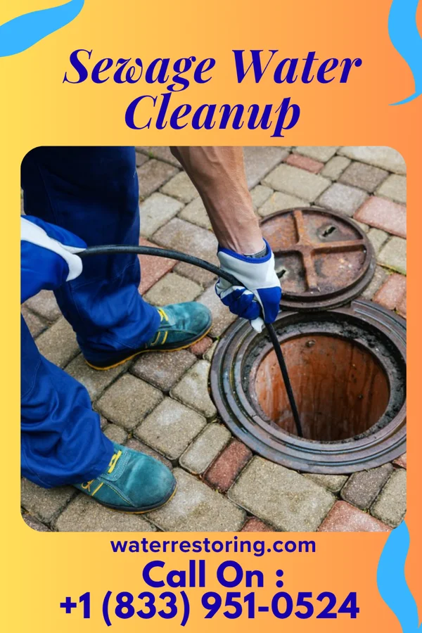 Sewage Water Cleanup in Quinter, KS